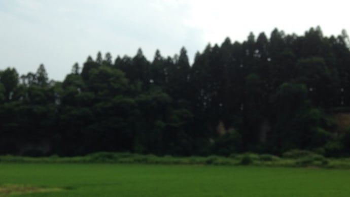八乙女館 跡 | 国分氏家臣 : 八乙女氏? の 居館