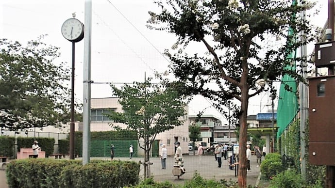ラジオ体操