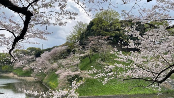 4月2日日曜日の皇居北の丸公園