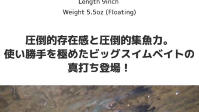 詳細掲載‼️