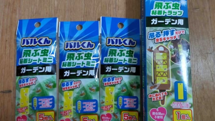 バルくん飛ぶ虫粘着トラップ