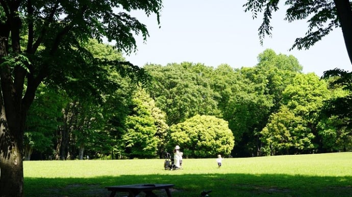 陽春の中、地元の公園を散策すれば、７９歳の私でも、多彩な情景にめぐり逢い・・。