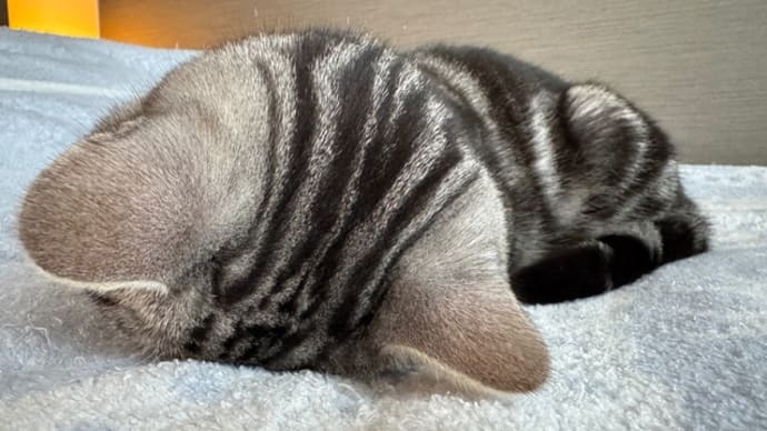 息できてますか~😆⁉️