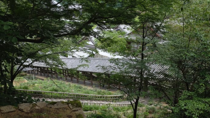 20210626 奈良長谷寺本山 06 Fujifilm-Digtal Camera X100T