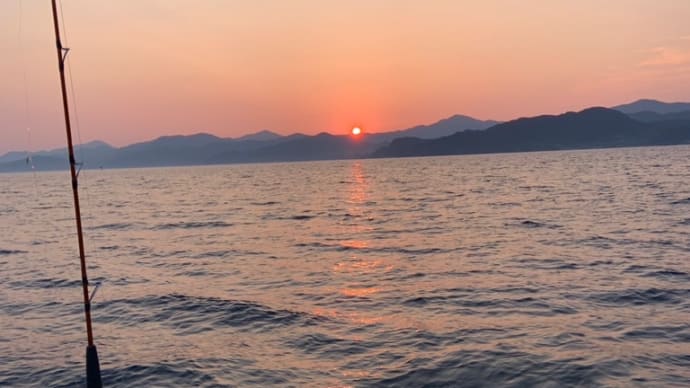 ヒラメ釣果情報