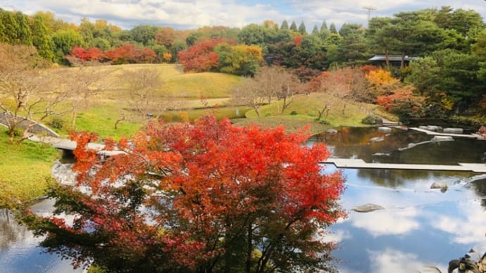 👫 朱雀の庭🍁梅小路公園🍁伊勢丹 🛍 🔭🌒🪐♀191129