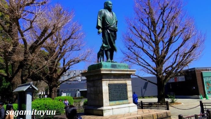 おまつり中止となった「上野恩賜公園」の桜は満開のステージへ??