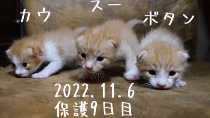 里親さん決定!!!!