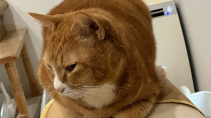 みんなで頑張ろう!