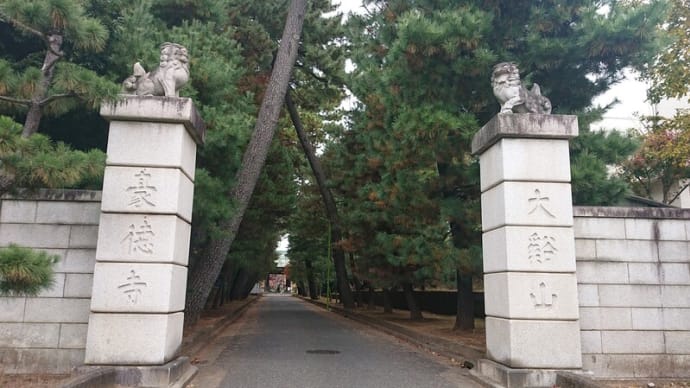 #321 -’22. 紅葉の大谿山豪徳寺
