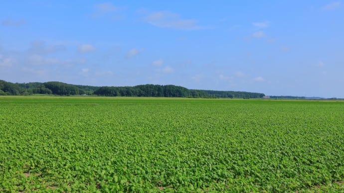 農家が野菜を育て、野菜くずを食べたニワトリの卵をいただく。小豆島で育む循環型社会。