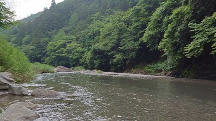 再び！神流川上野村釣行！ヤナギオンリーで釣る！