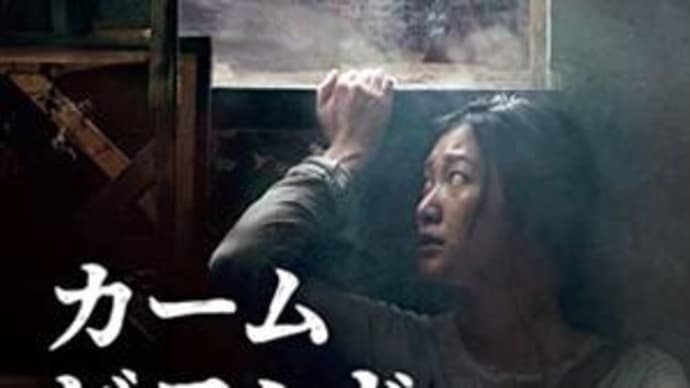 香港映画 カームビヨンド 漂流者 観ました