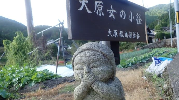 大原新緑🍃焼杉山・翠黛山
