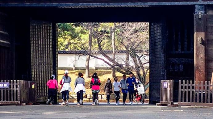 桜田門と初冬の龍珠院
