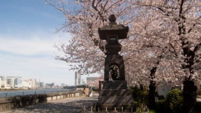 #隅田川の桜見物