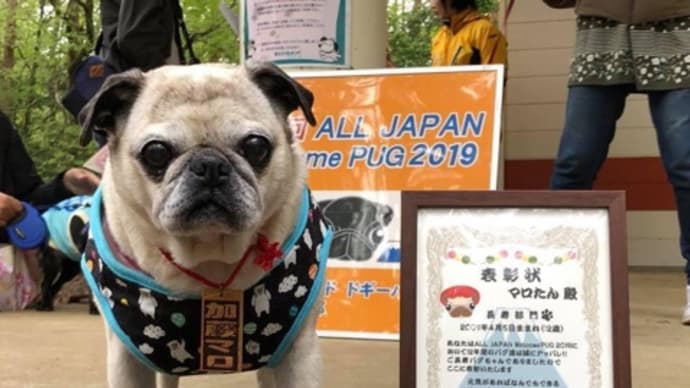 2年前のパグミ