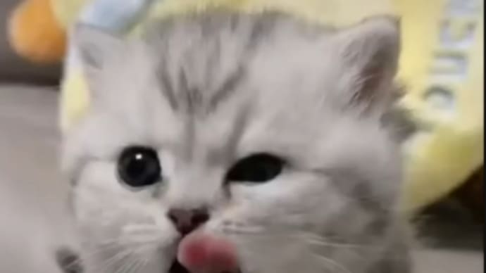 今日も一日お疲れさまでした😻