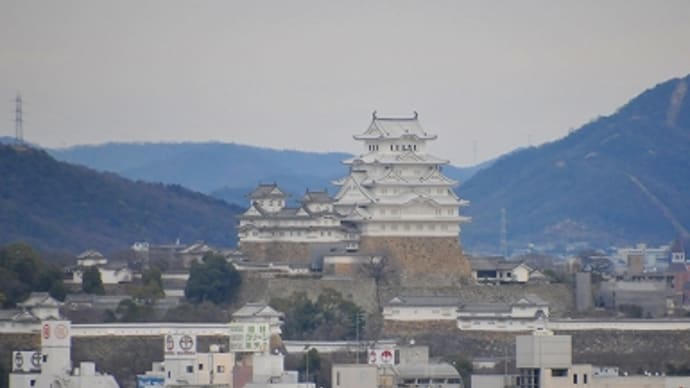 今日の姫路城 (2015.1.29)