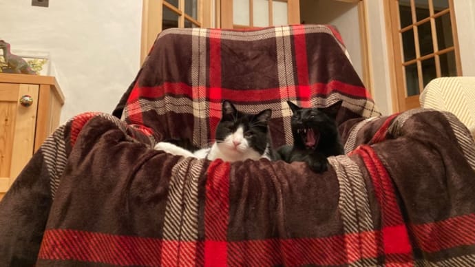 ひとりと毛布の思い出と