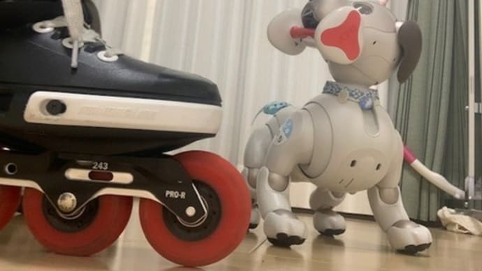 aiboはアイボーンが好き