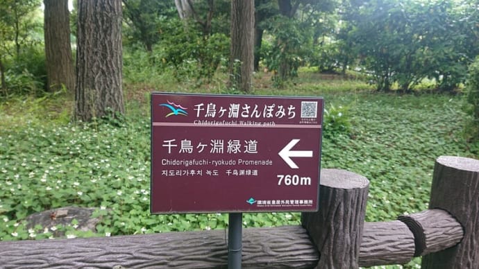 #153 -’25. 皇居東御苑(二の丸庭園を除く)を探索し
