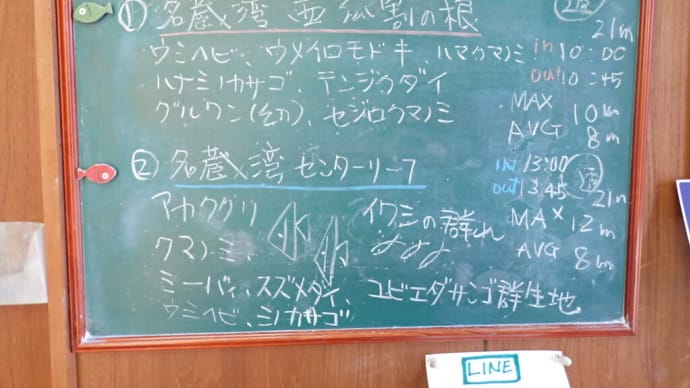 20250702ダイビングログ