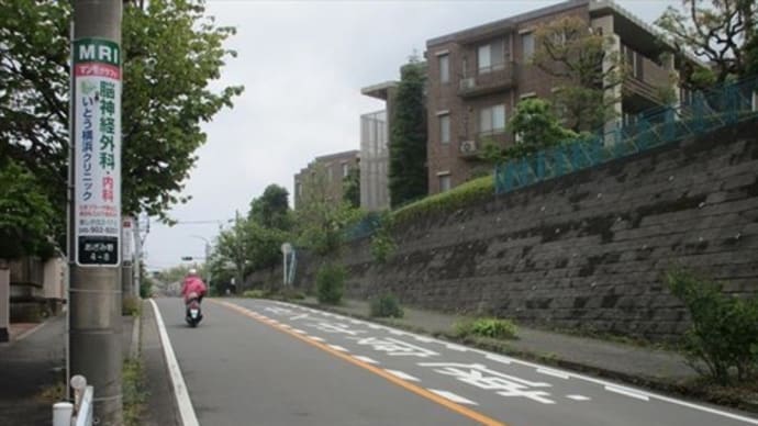 6/2 たまプラーザへ (速報 淨慶寺)