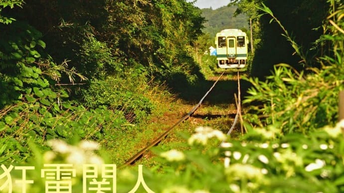 緑のトンネル
