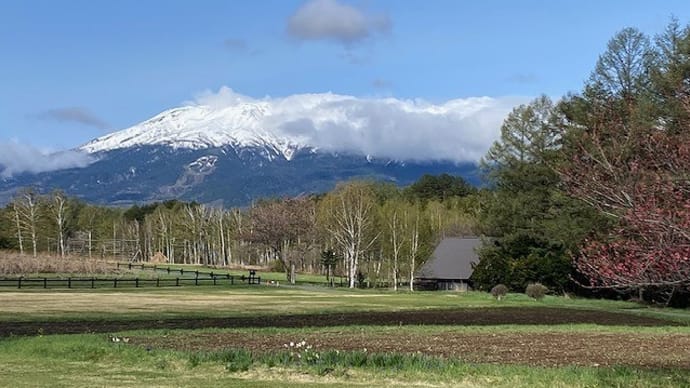 今日は北風で寒いです