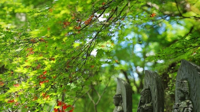 神野寺・善通寺・金蔵寺・海岸寺のお参り
