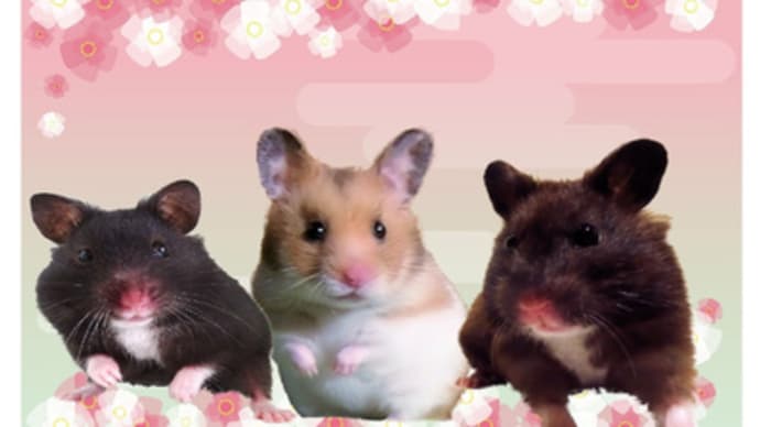 3月のカレンダーアップします~