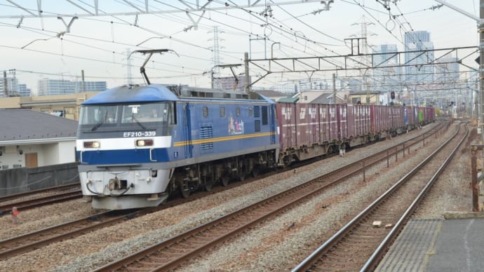 EF210-339 コンテナ牽引【尻手駅:南武支線】2024.1.11