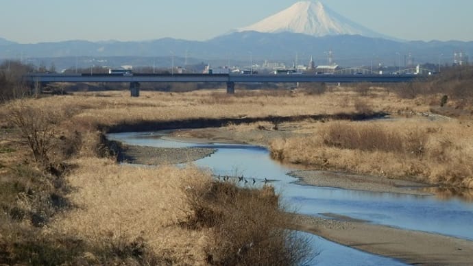 入間川と富士（初雁橋）