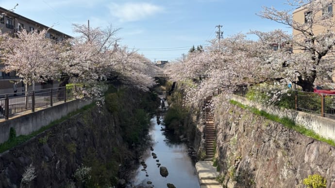 5月14日の祈祷会の内容です。