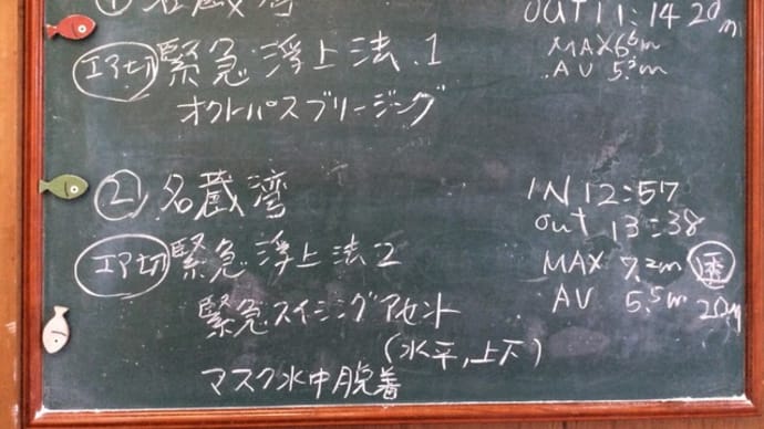 20220610ダイビングログ