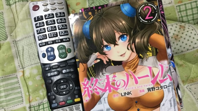 先日買いました。