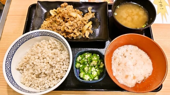 吉野家(田原町店)で牛皿麦とろ御膳(2024年7月27日)
