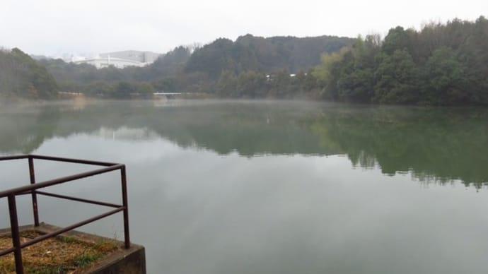 池の底を歩いてきました