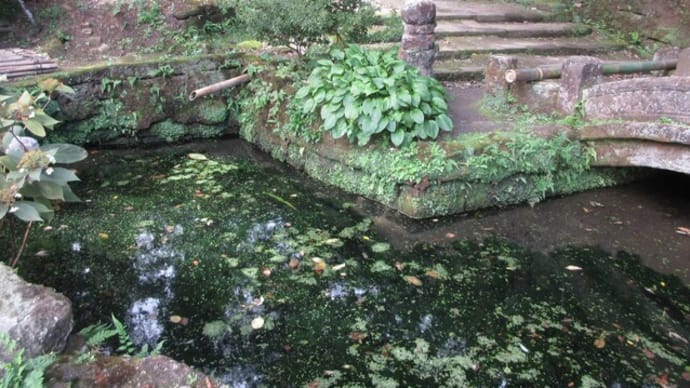 北鎌倉 浄智寺の秋