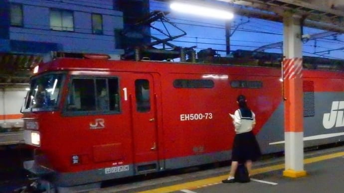 貨物列車通過にビクともしない女学生! 【西国分寺駅:武蔵野線】 2018.JUN