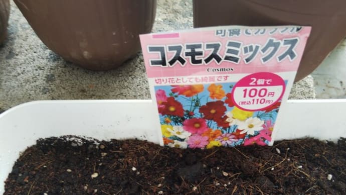 日に三度 車の恐怖 交差点