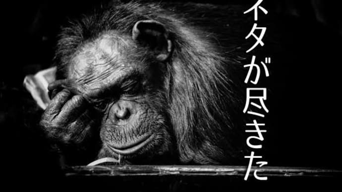 ネタが切れて今回は本当にピンチ!