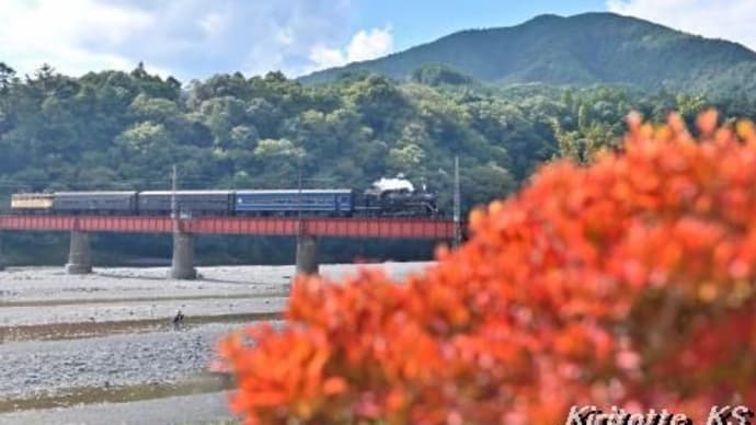 紅葉