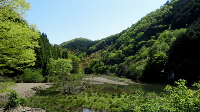 リンドウとの感動の出会い~大江紀行(2)