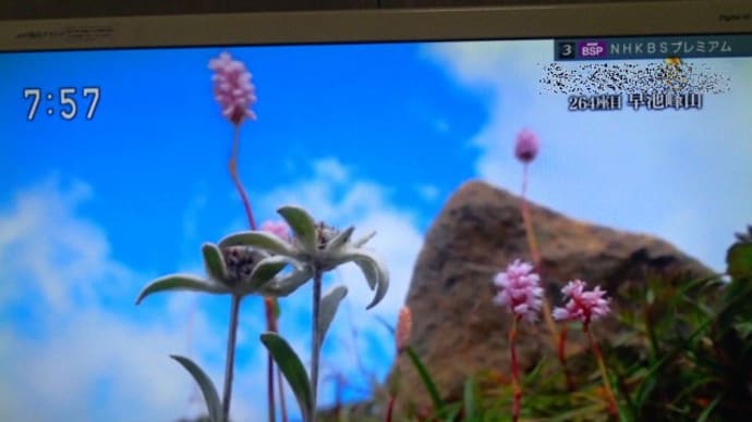 グレートトラバース3見てますか?早池峰山。