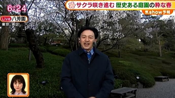 八芳園「桜花爛漫弁当」で粋な春