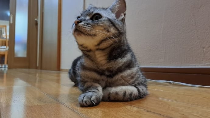 台風で開いてるお店が少ない。