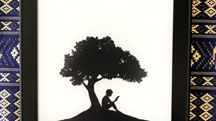kindle paperwhite購入