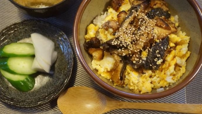 【Qoo10・メガ割】訳あり、端材・刻み「うなぎ」買ってみた!~500g(5~6人分)1980円送料無料♪